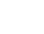 AlpAccess Logo